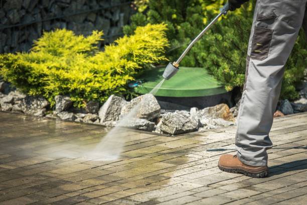 Best Animal Enclosure Cleaning  in Chester, VA